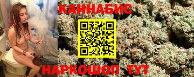 прущие грибы Канаш