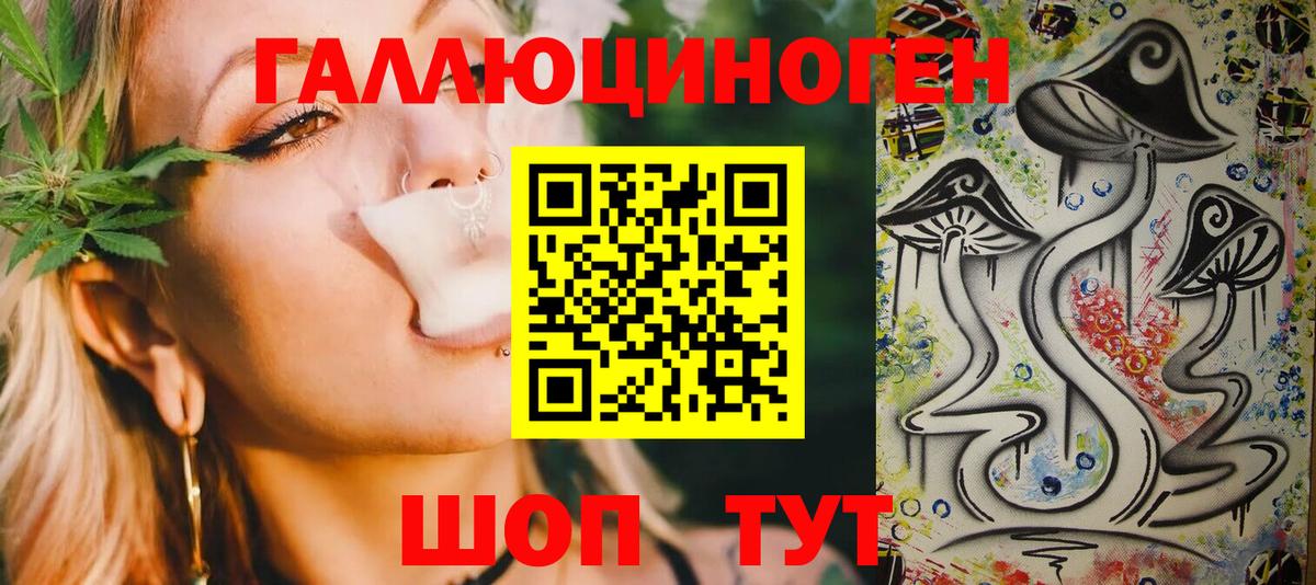 Псилоцибиновые грибы Cubensis Курчалой