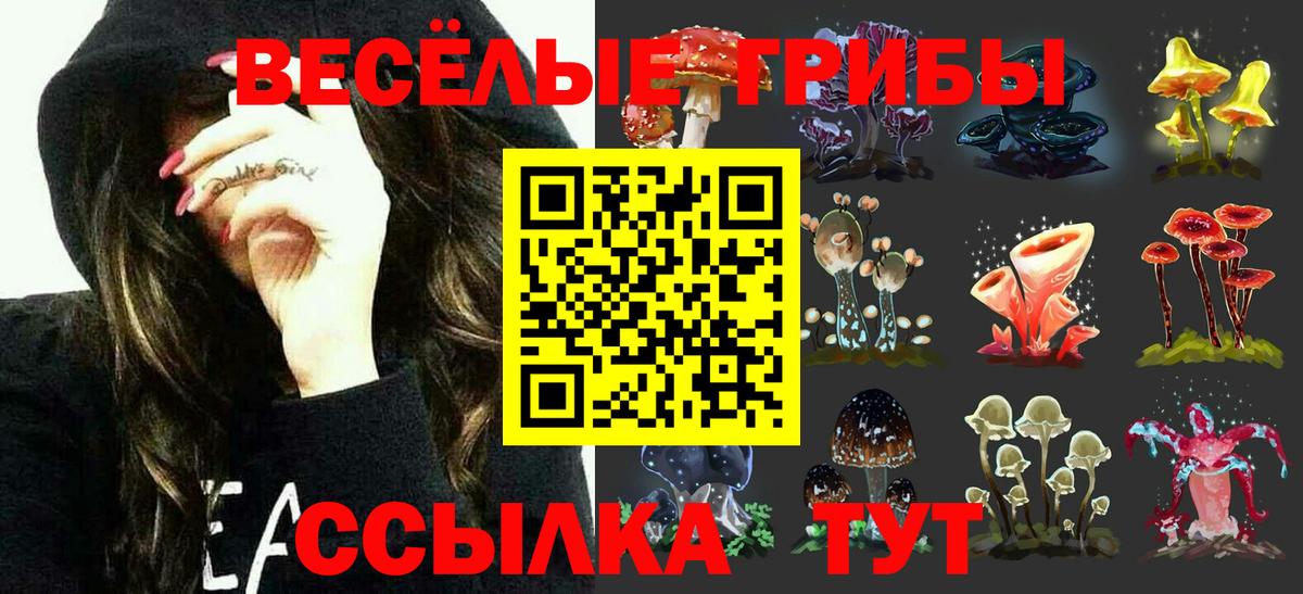 Галлюциногенные грибы мухоморы  Вход с VPN  купить  сайты  Курчалой 