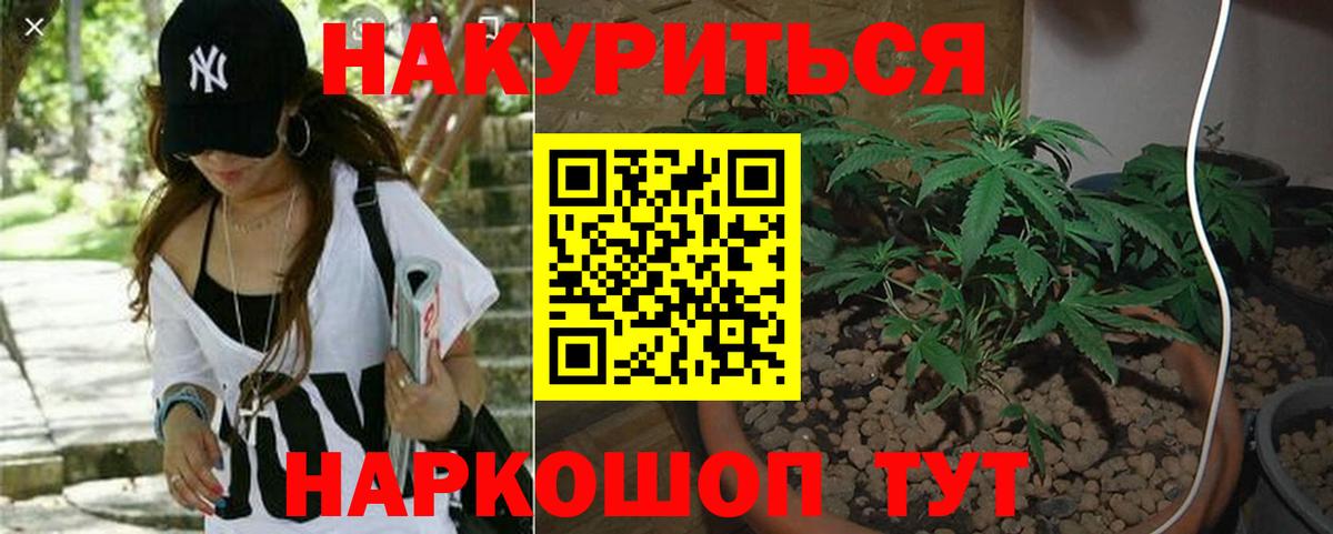 Бошки марихуана AK-47  Марихуана конопля  Курчалой  Конопля Ganja 